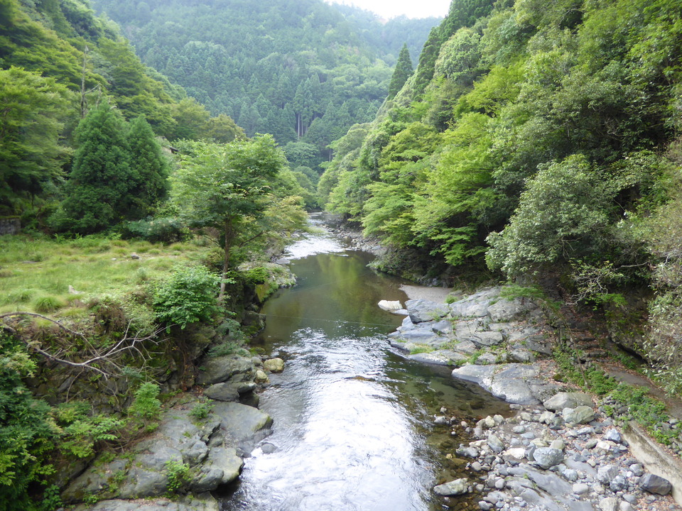 P1010905_mid.jpg