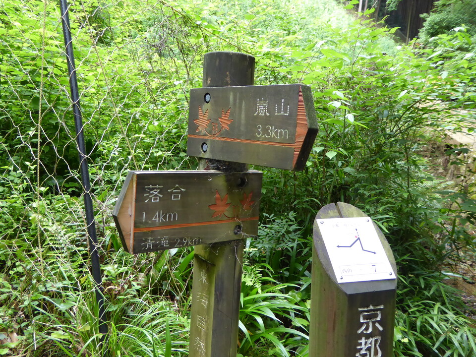 P1010956_mid.jpg