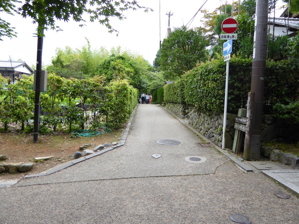 P1010978_mid.jpg