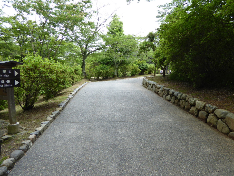 P1010995_mid.jpg