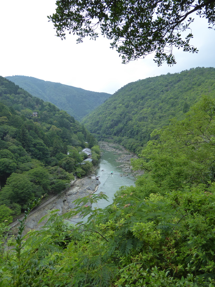 P1020001_mid.jpg