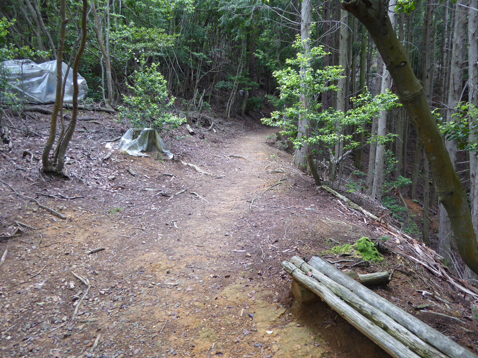 P1020060_mid.jpg