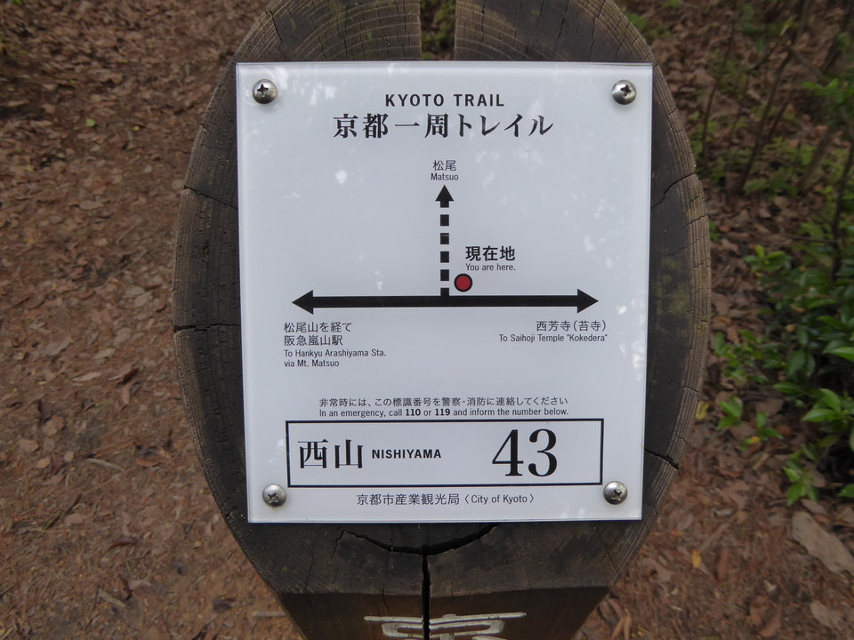 P1020105_mid.jpg
