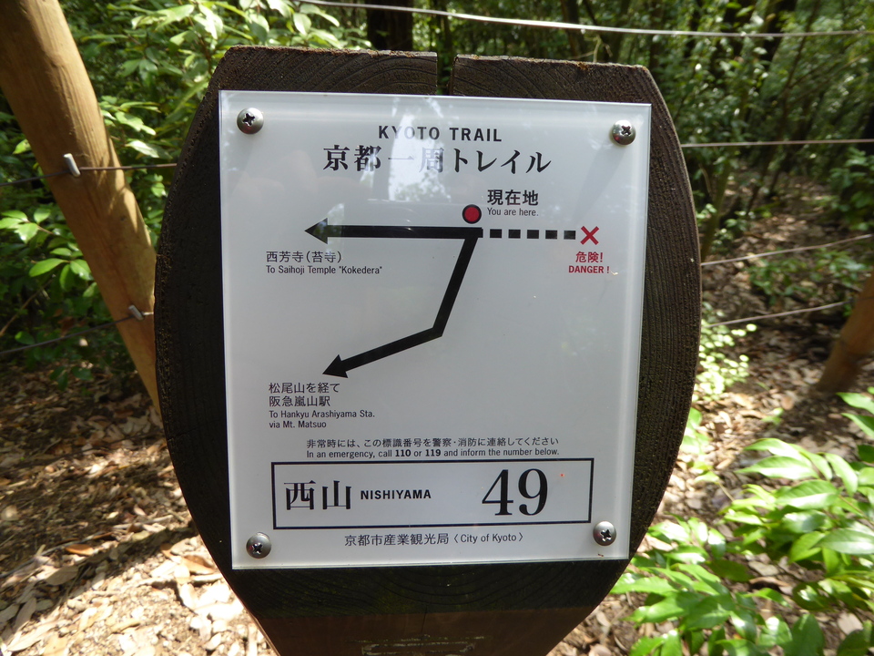 P1020128_mid.jpg