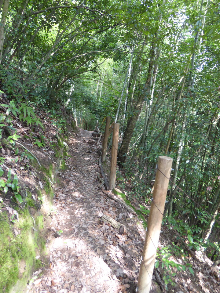 P1020130_mid.jpg