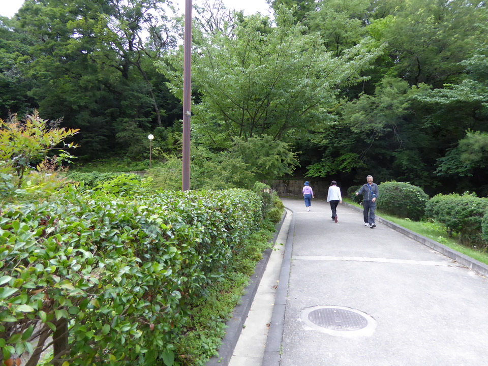 P1020205_mid.jpg
