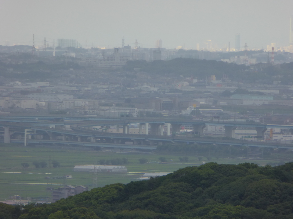 P1020243_mid.jpg