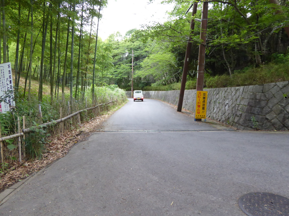 P1020290_mid.jpg