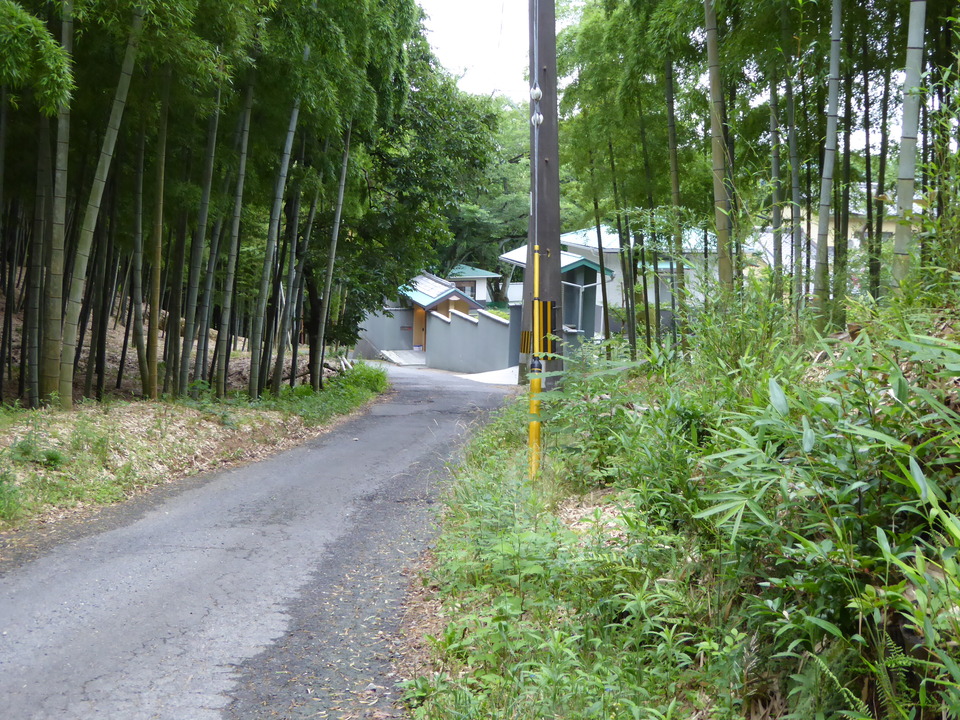 P1020301_mid.jpg