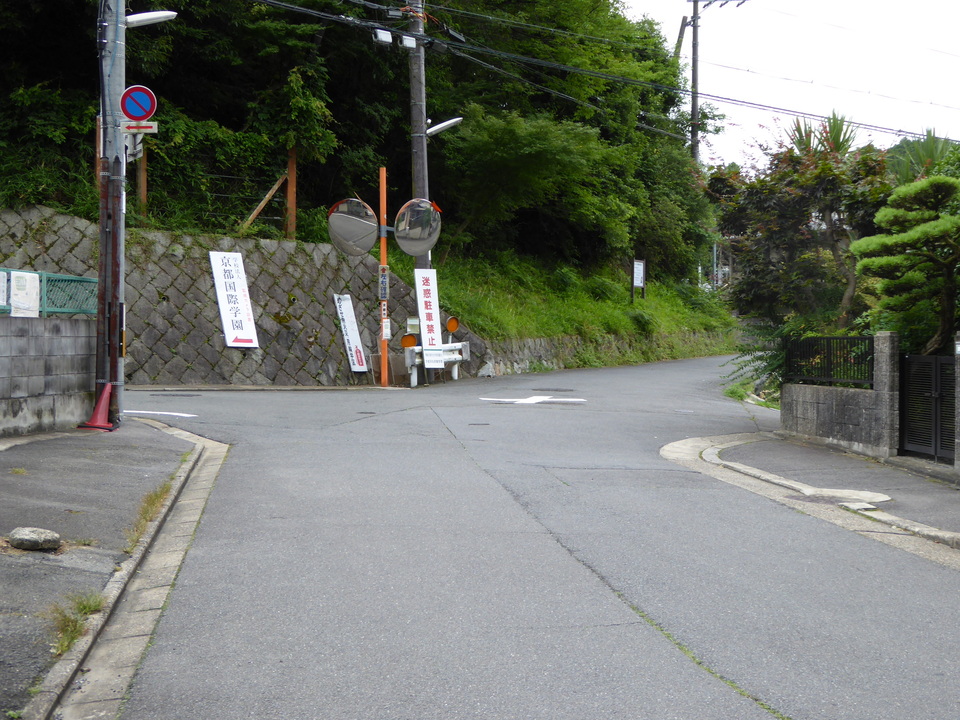 P1020360_mid.jpg