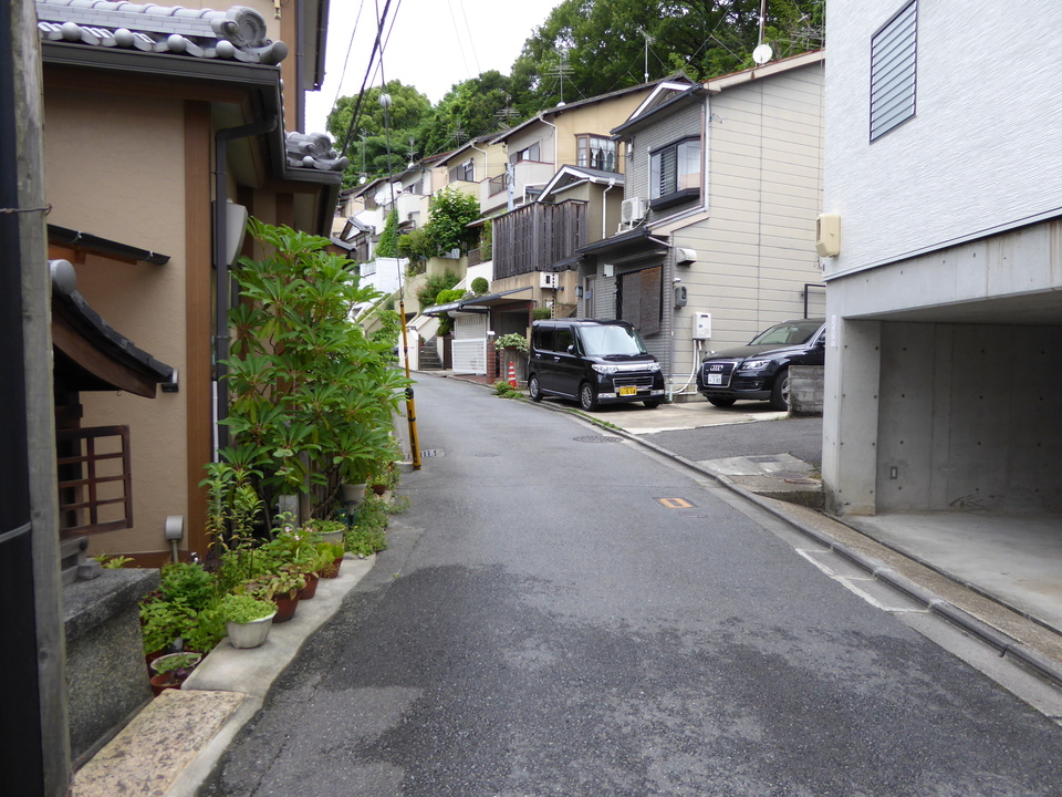 P1020385_mid.jpg