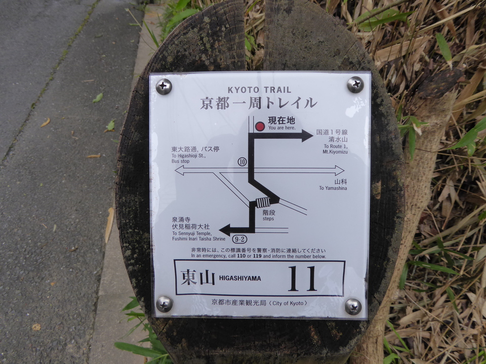 P1020387_mid.jpg