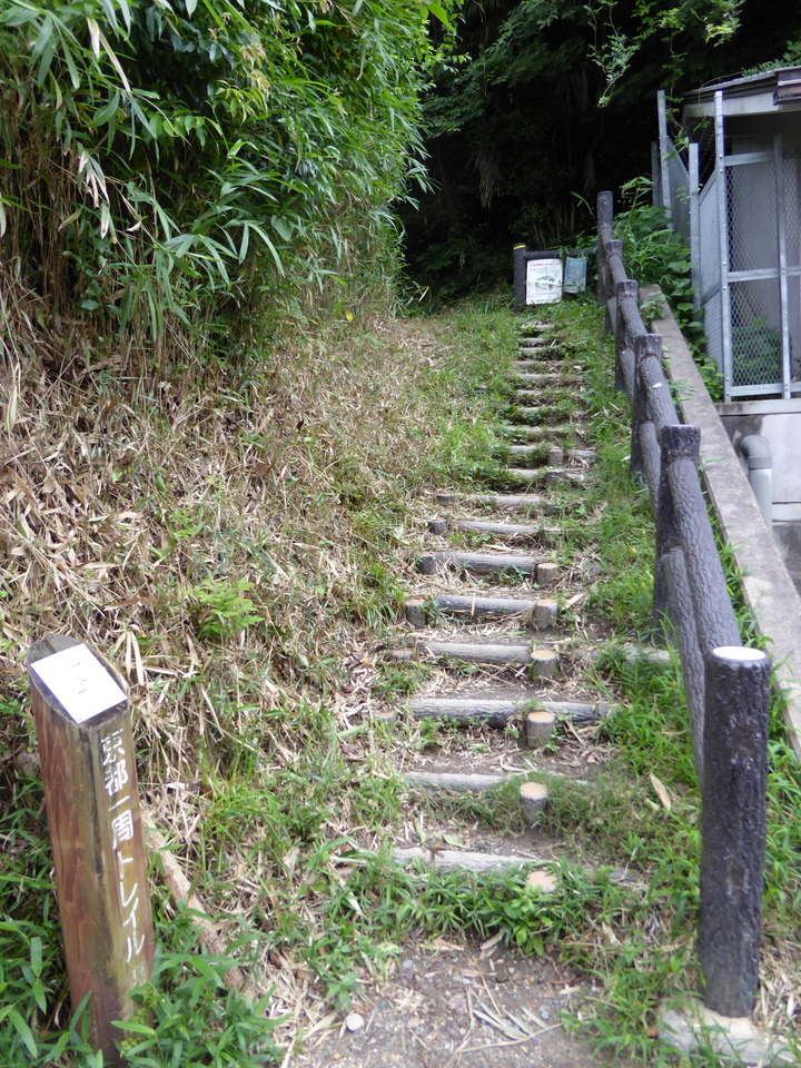 P1020389_mid.jpg