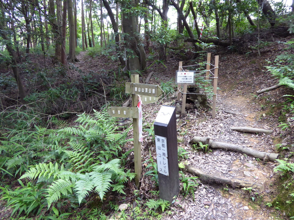 P1020448_mid.jpg