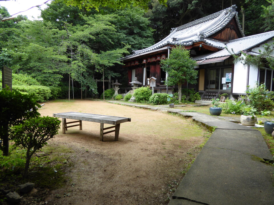 P1020464_mid.jpg
