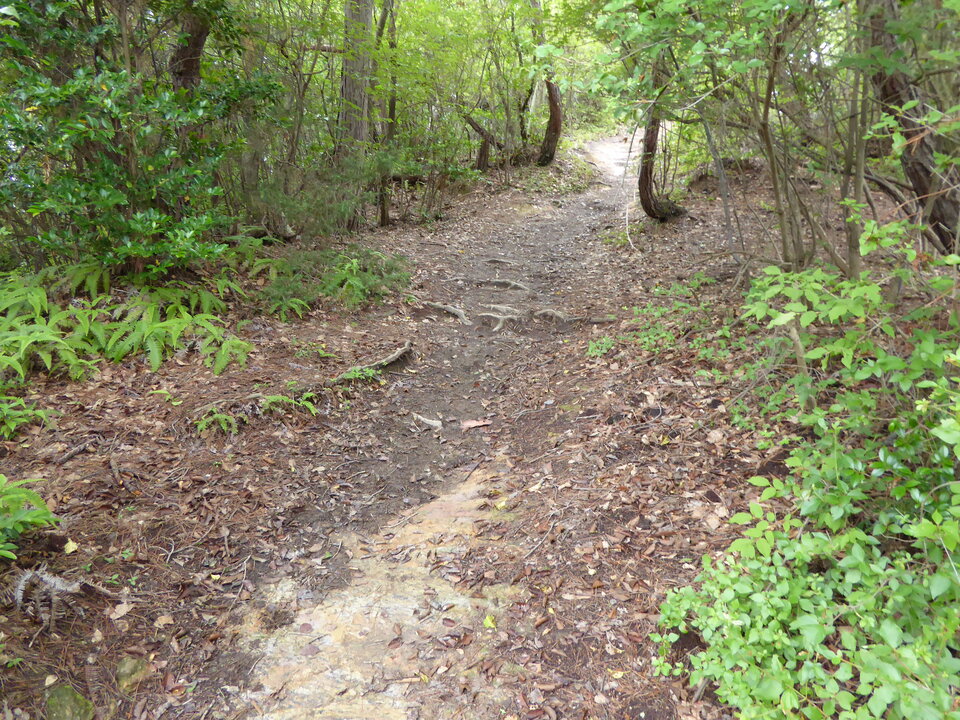 P1020507_mid.jpg