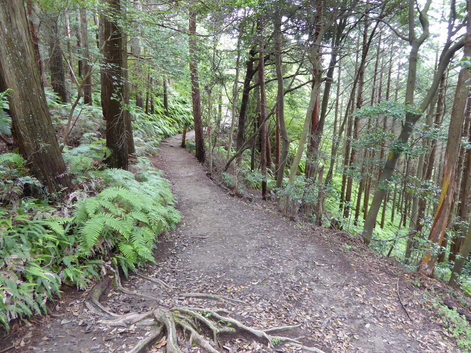 P1020523_mid.jpg