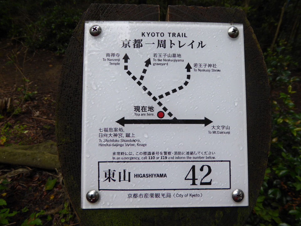 P1020526_mid.jpg