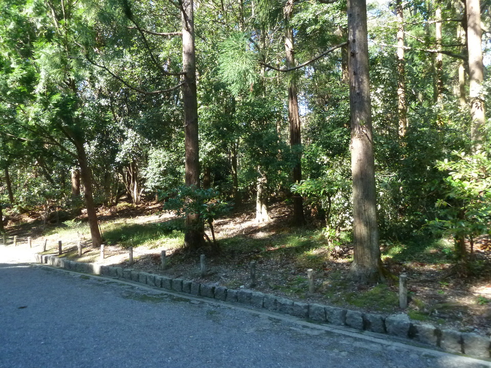 P1180824_mid.jpg