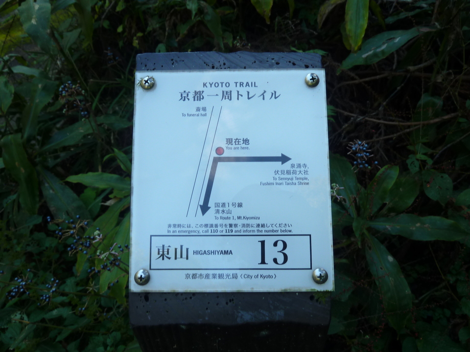 P1180879_mid.jpg