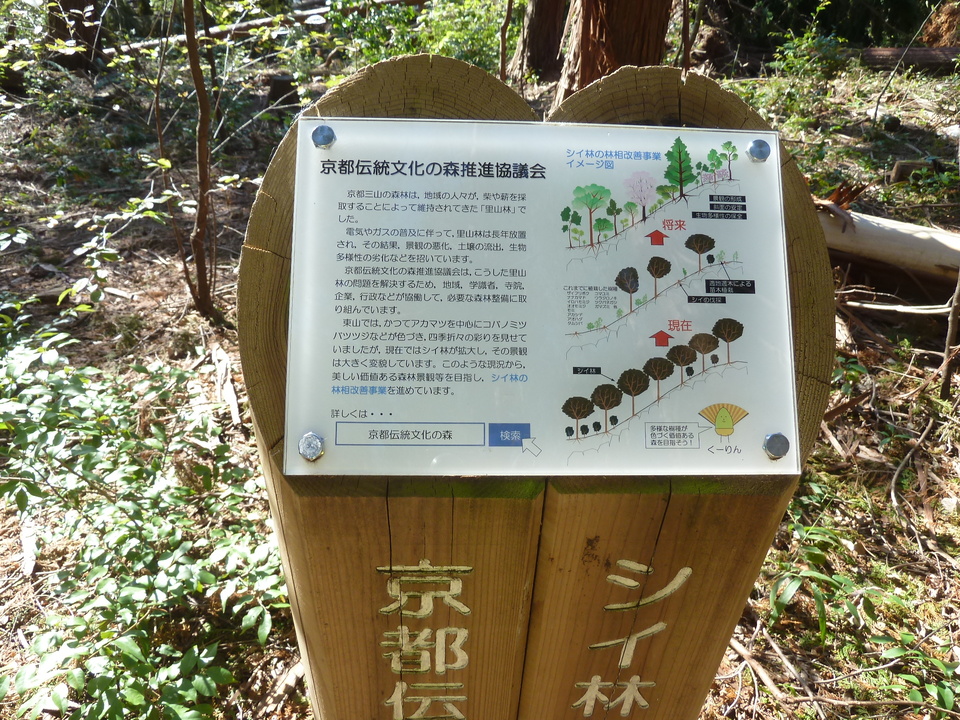 P1180896_mid.jpg