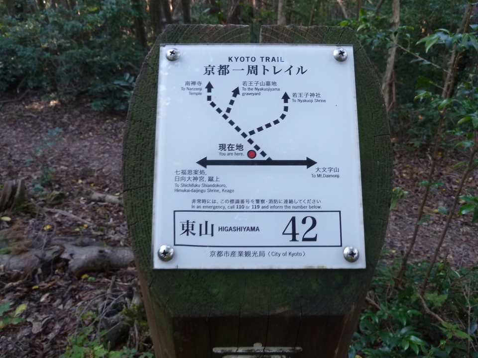 P1180951_mid.jpg