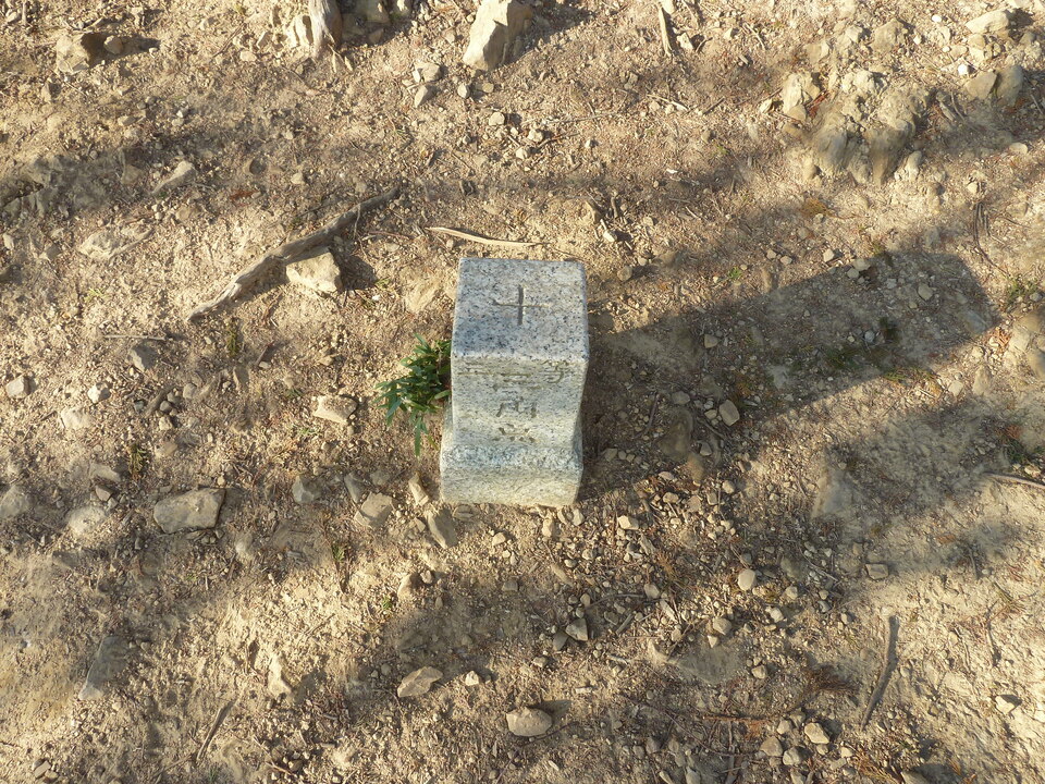 P1180966_mid.jpg