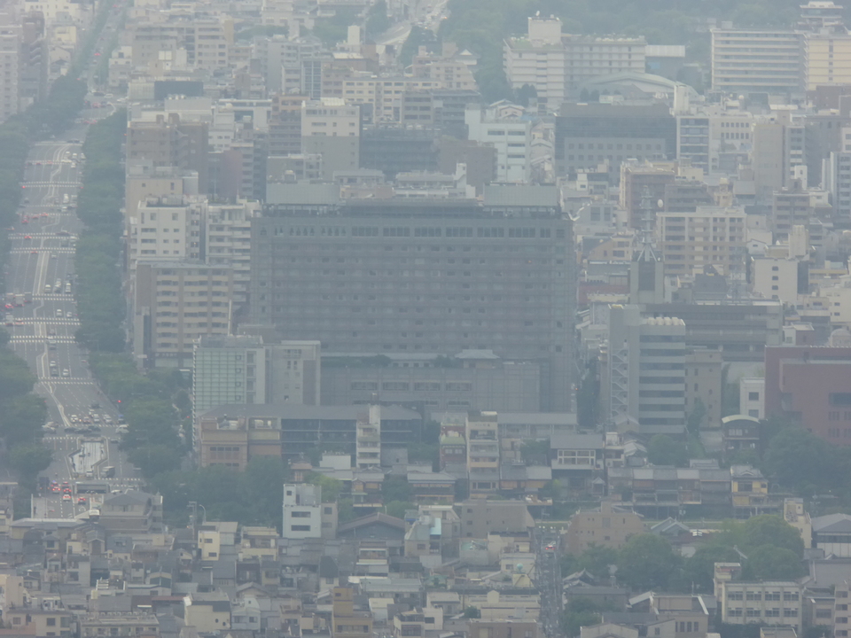P1020613_mid.jpg