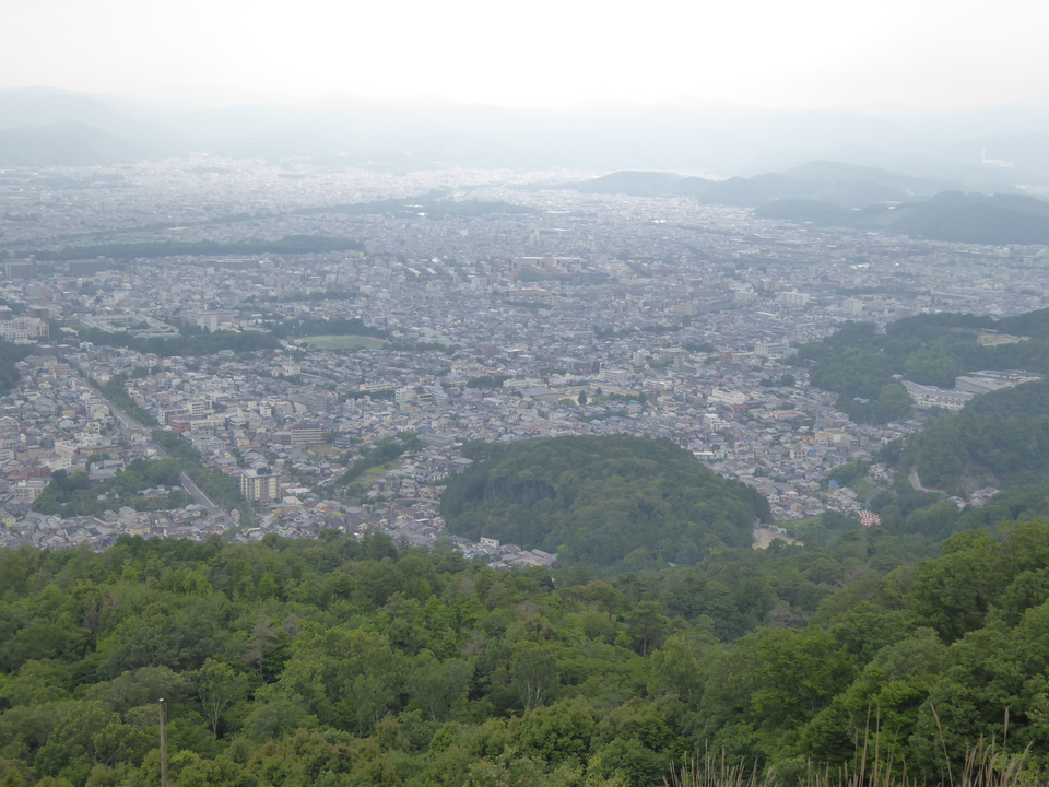 P1020635_mid.jpg