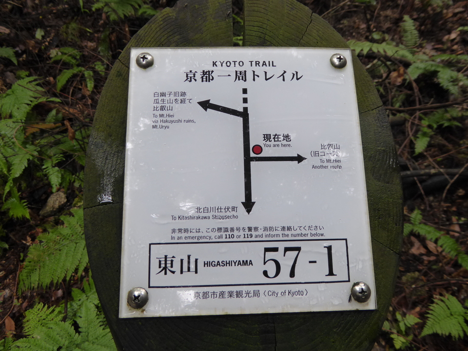 P1020659_mid.jpg