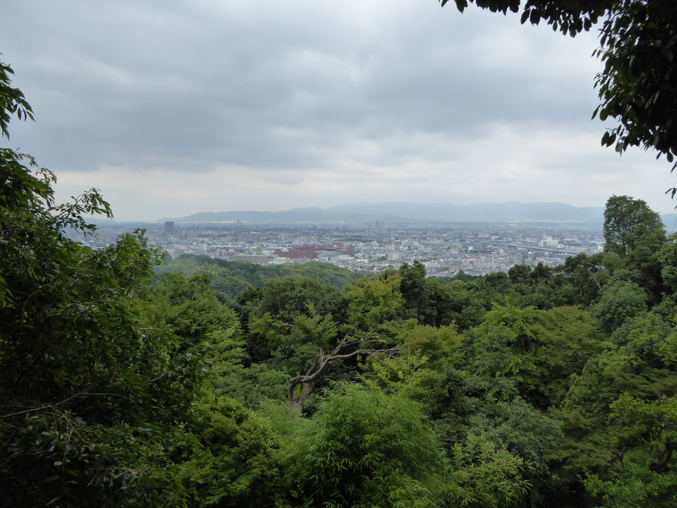 P1060229_mid.jpg