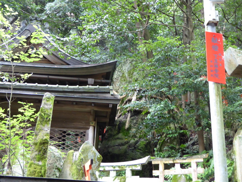 P1060243_mid.jpg