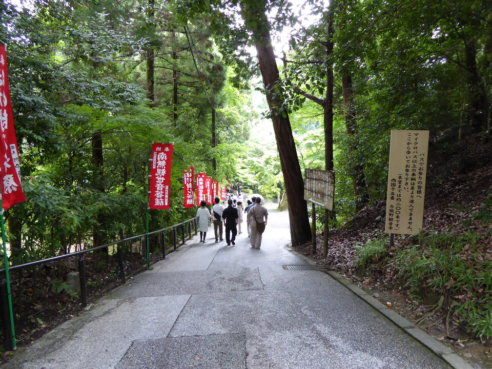 P1060264_mid.jpg