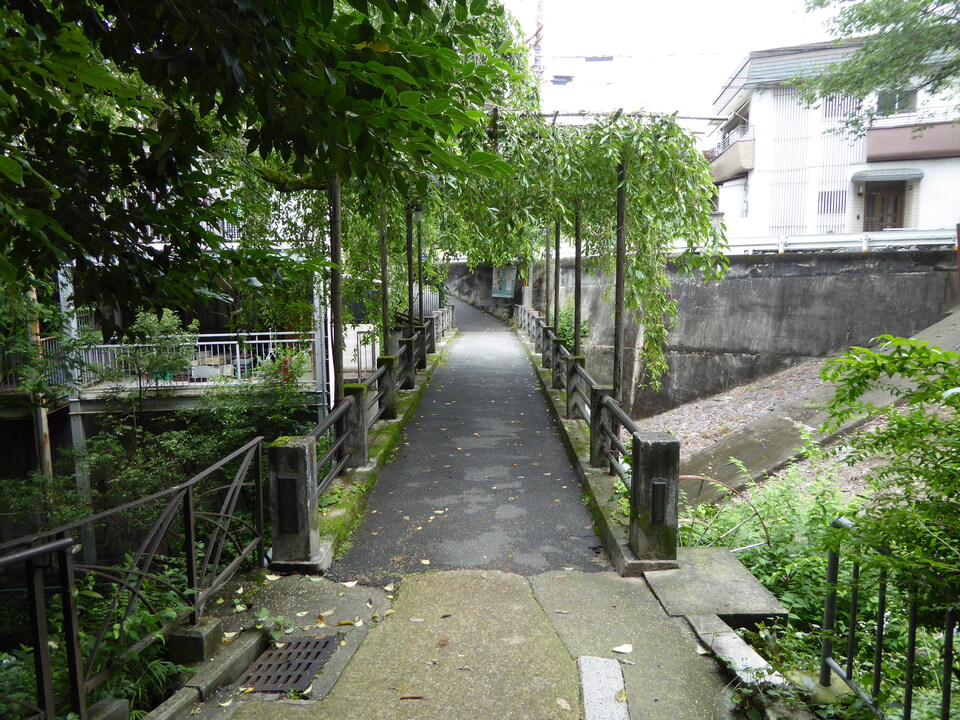 P1060268_mid.jpg