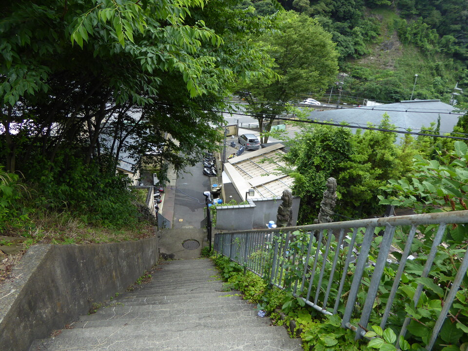 P1060269_mid.jpg