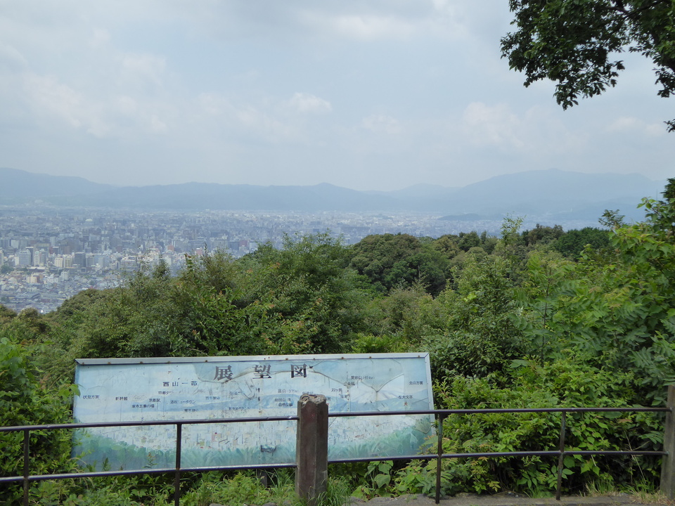 P1060276_mid.jpg