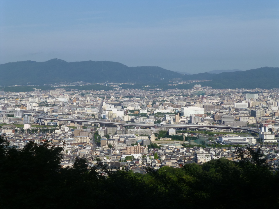 P1070508_mid.jpg