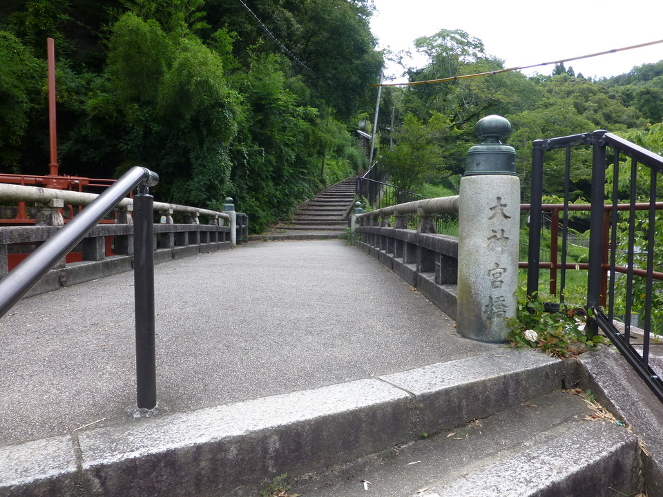 P1070524_mid.jpg