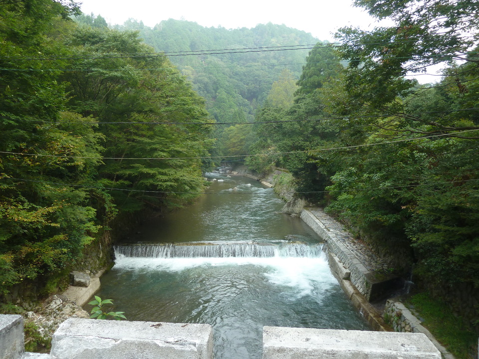 P1170369_mid.jpg