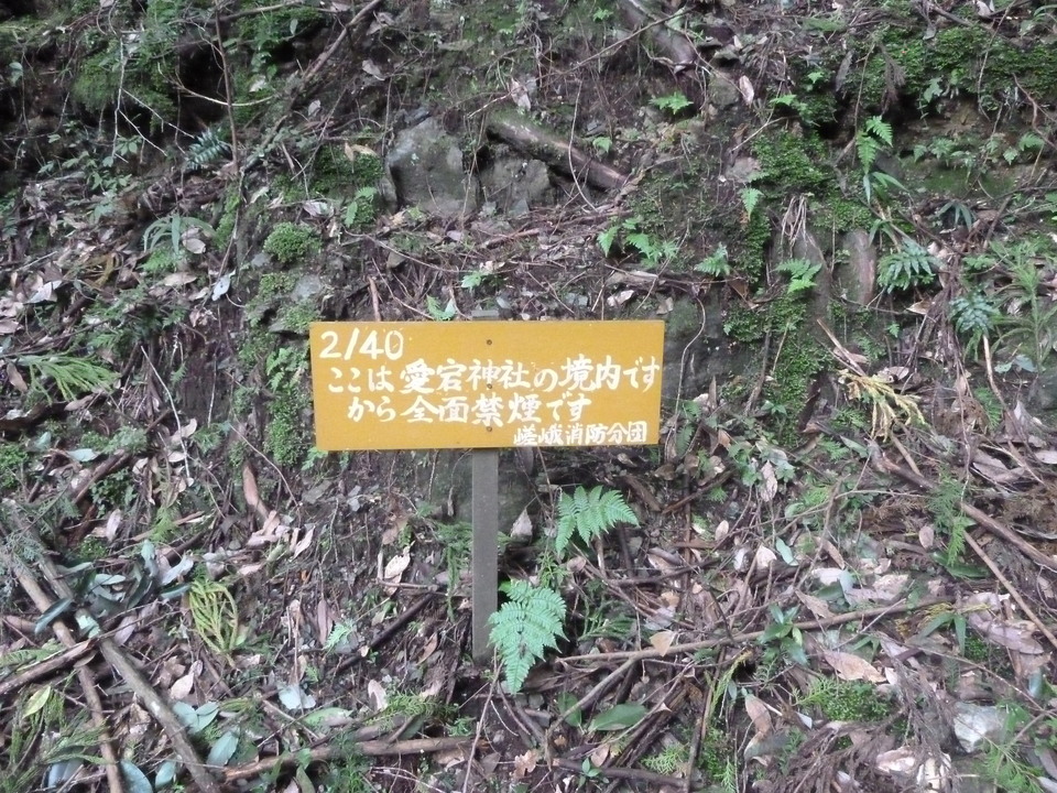 P1170374_mid.jpg