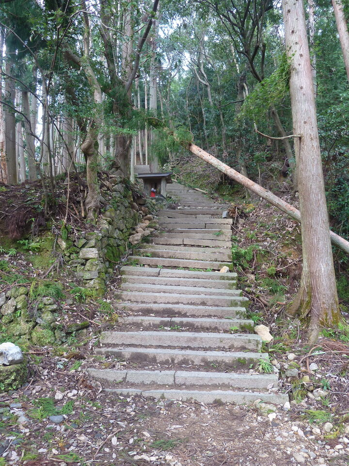 P1170380_mid.jpg