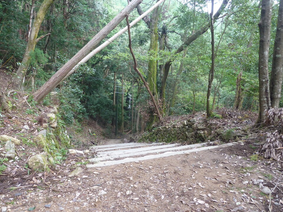 P1170381_mid.jpg