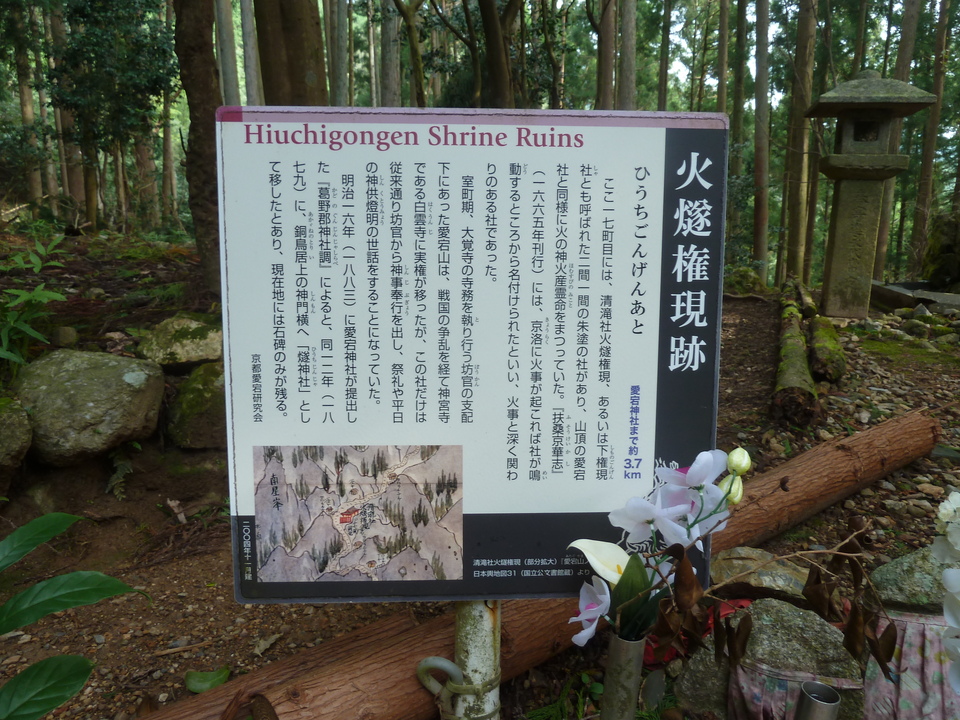 P1170388_mid.jpg