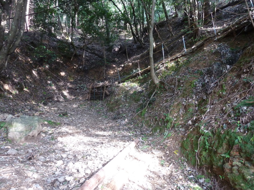 P1170395_mid.jpg