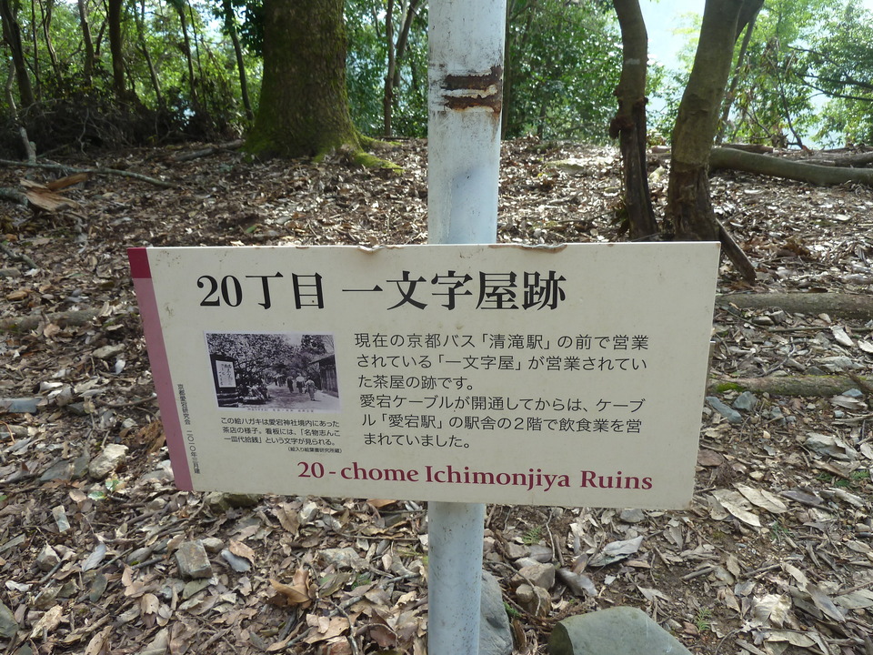 P1170398_mid.jpg