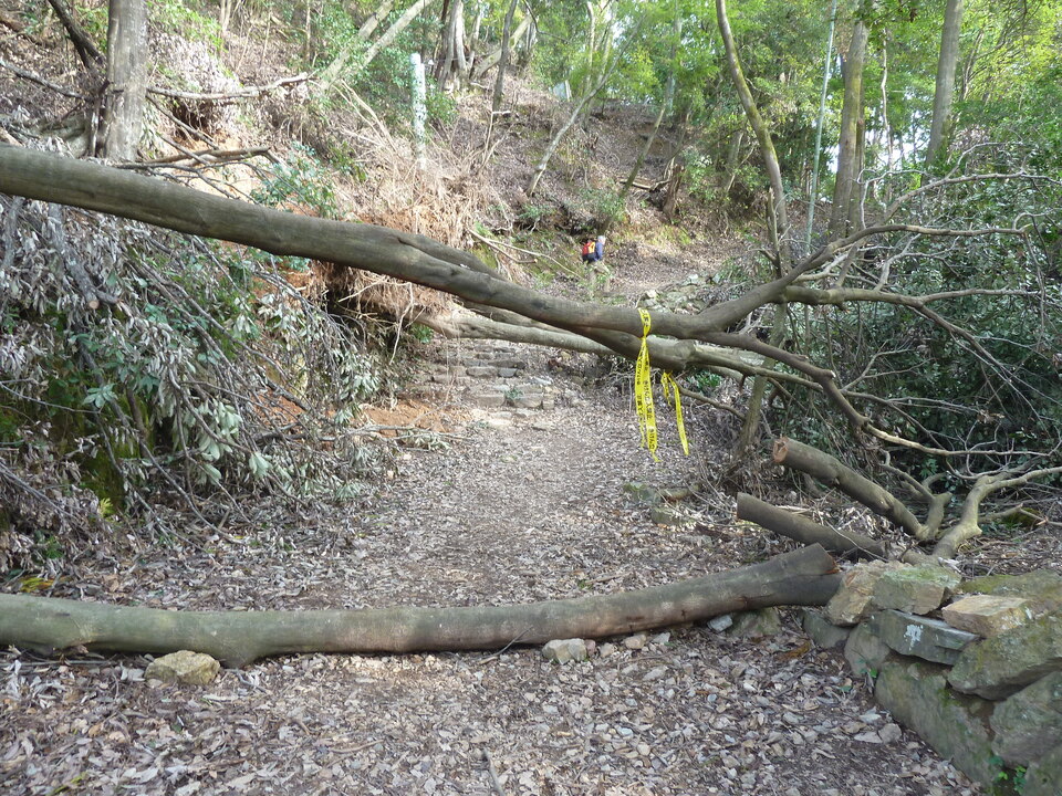 P1170400_mid.jpg