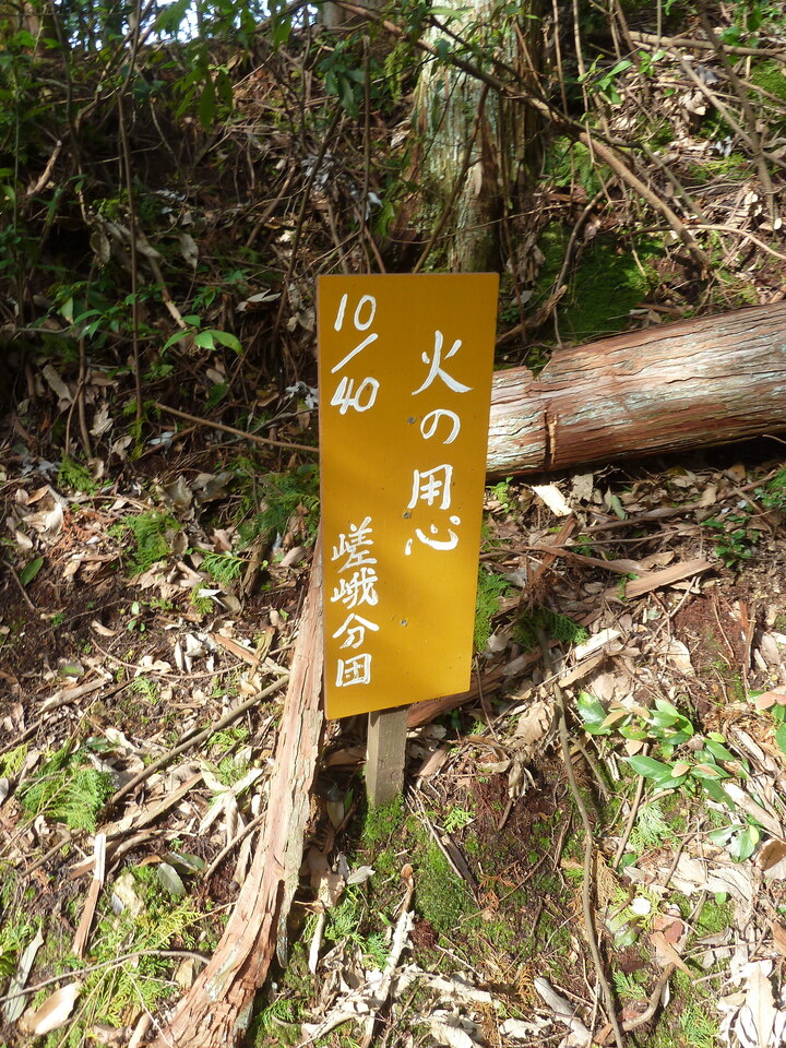 P1170403_mid.jpg