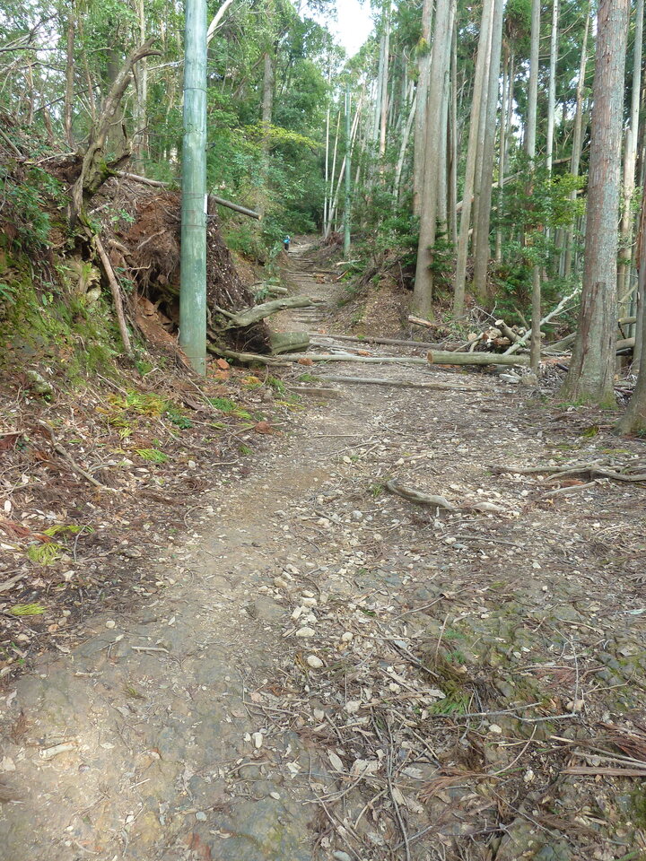 P1170405_mid.jpg