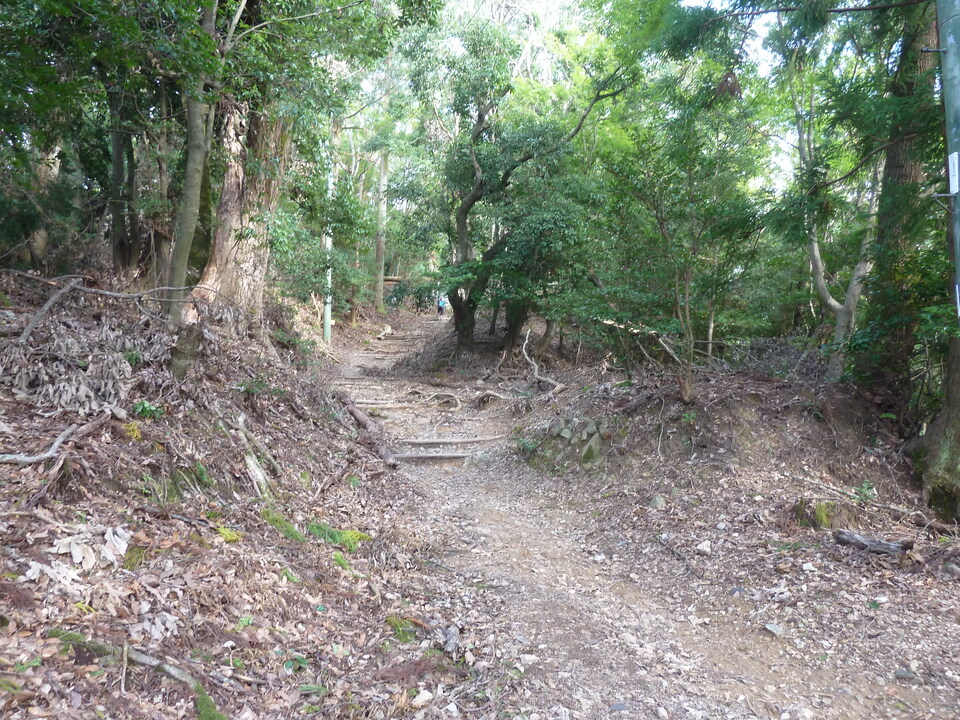 P1170408_mid.jpg