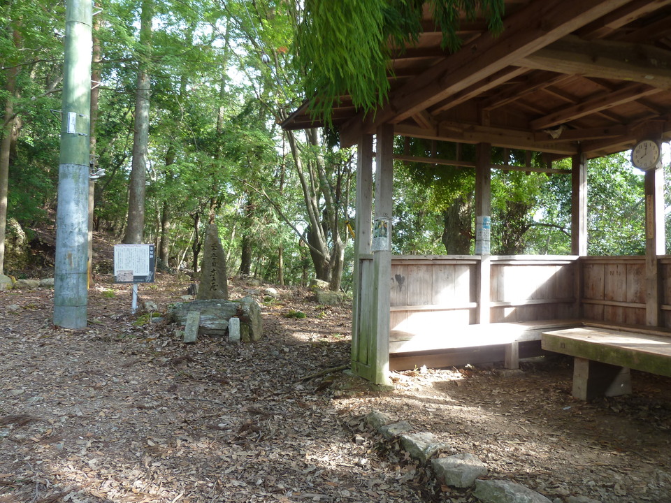 P1170412_mid.jpg